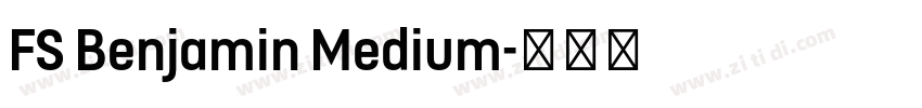 FS Benjamin Medium字体转换
